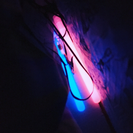 corvidcorgi's avatar