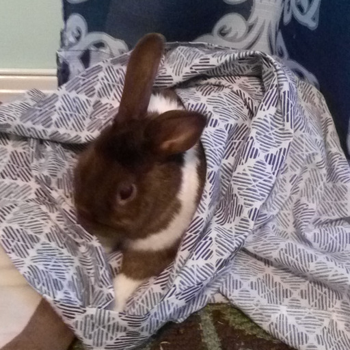 equalseleventhirds's avatar