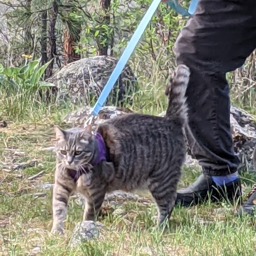 septemberbells's avatar